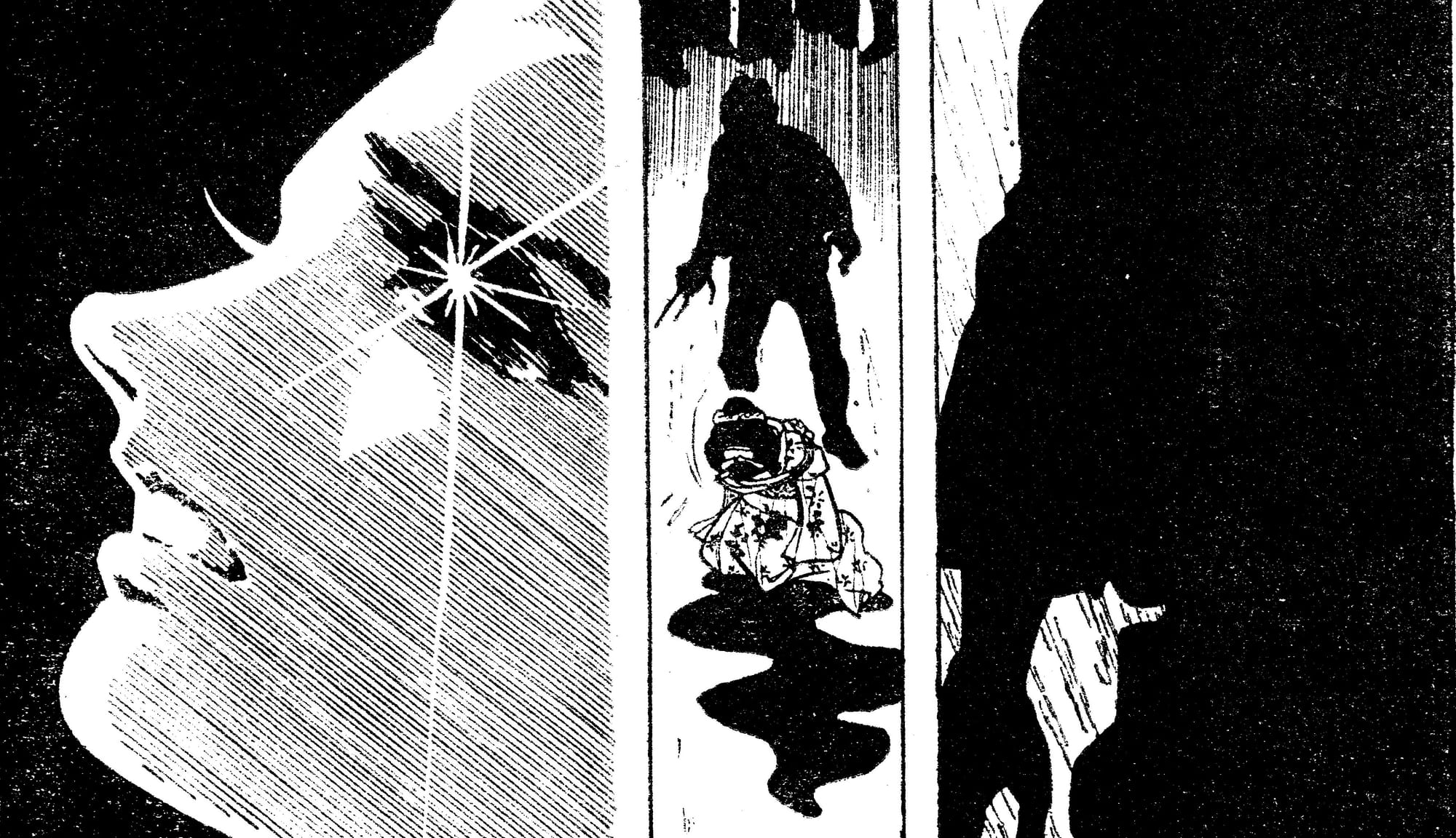 In Translation | "The White Shadow" by Reiko Motoyama