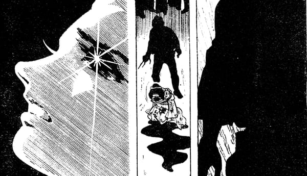 In Translation | "The White Shadow" by Reiko Motoyama