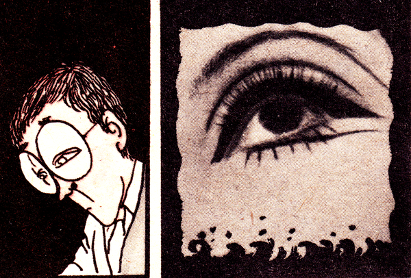 In Translation | "Just a Man" and "A Bird" by Taro Higuchi